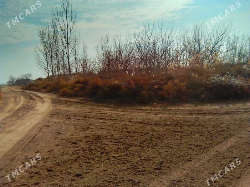 ucacaska yer - Гороглы (Тагта) - img 8