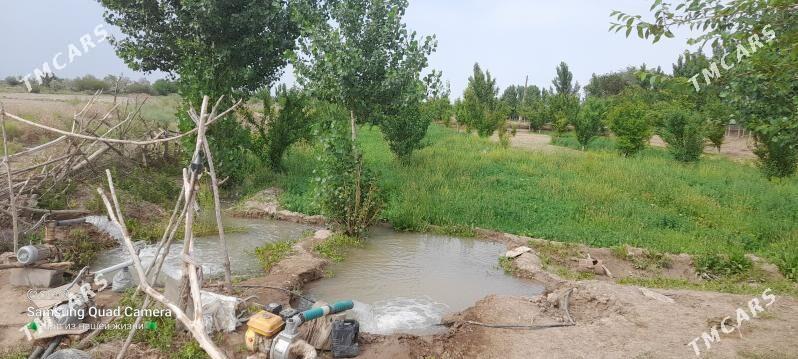 ucacaska yer - Гороглы (Тагта) - img 2