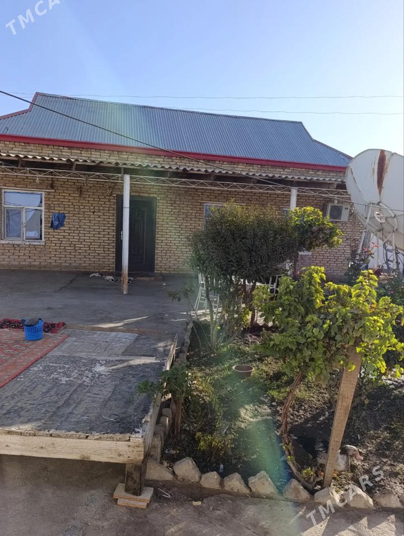 howly jay - Baýramaly - img 2