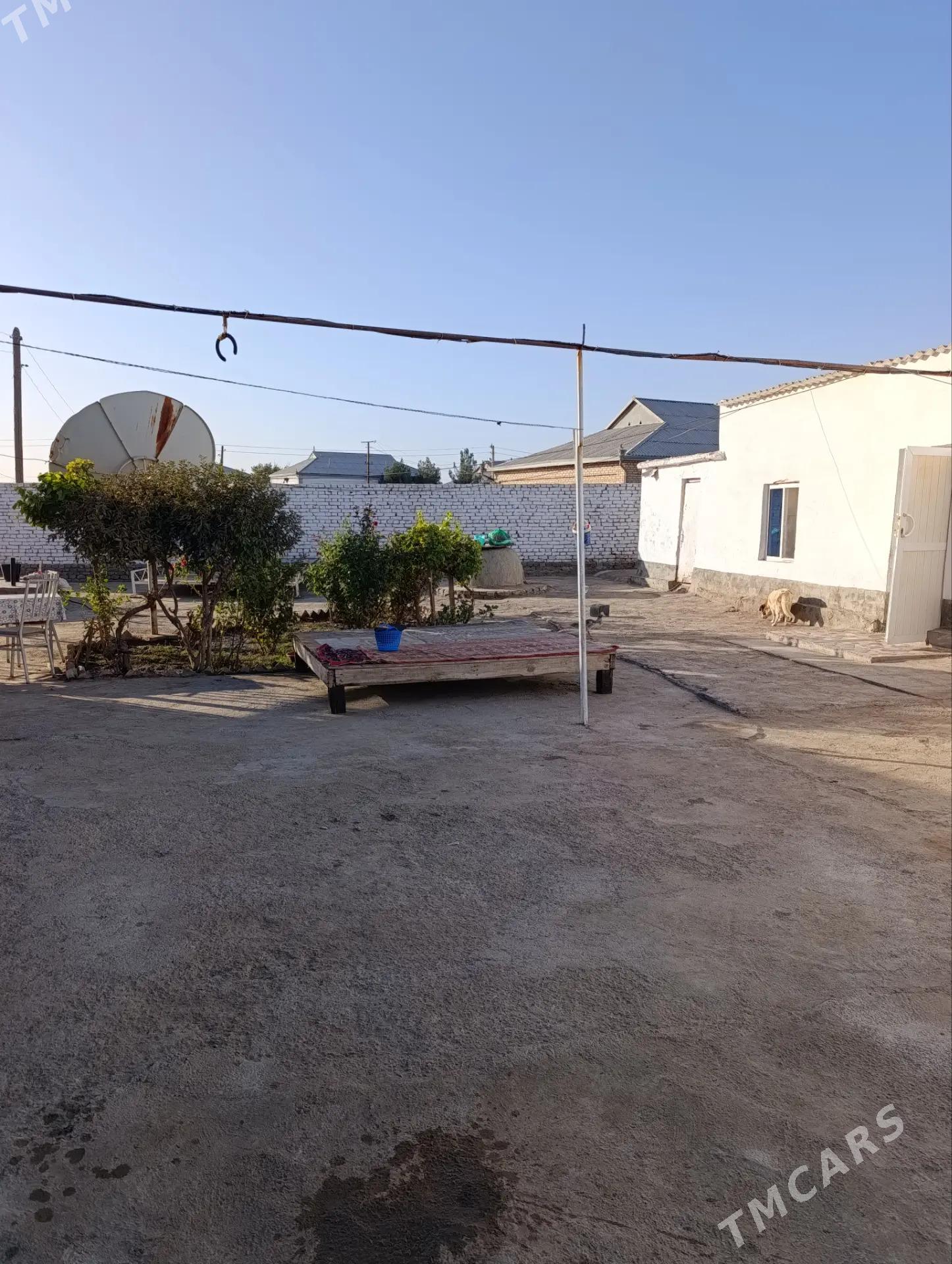 howly jay - Baýramaly - img 3