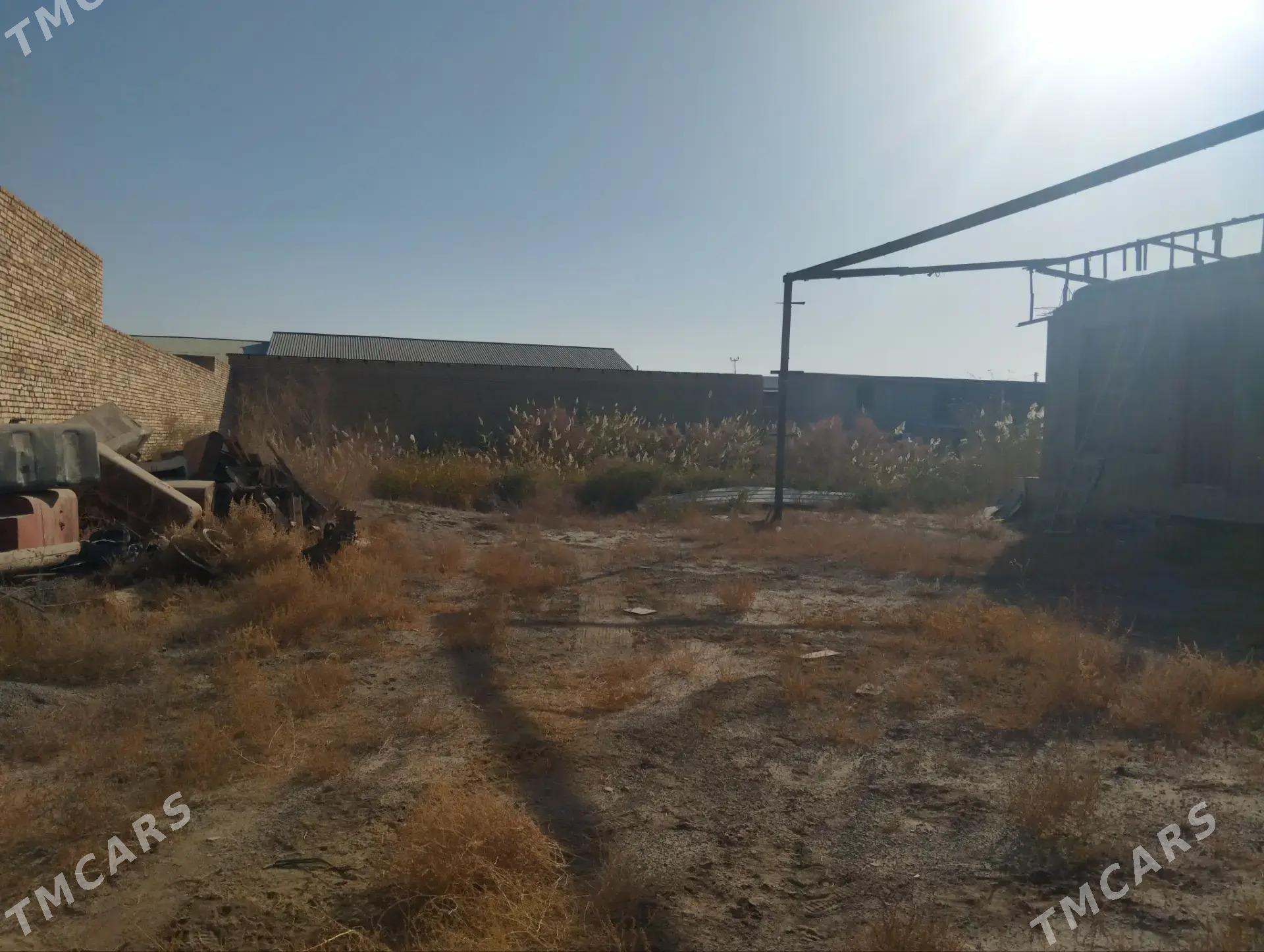 satlyk jay - Türkmenabat - img 2