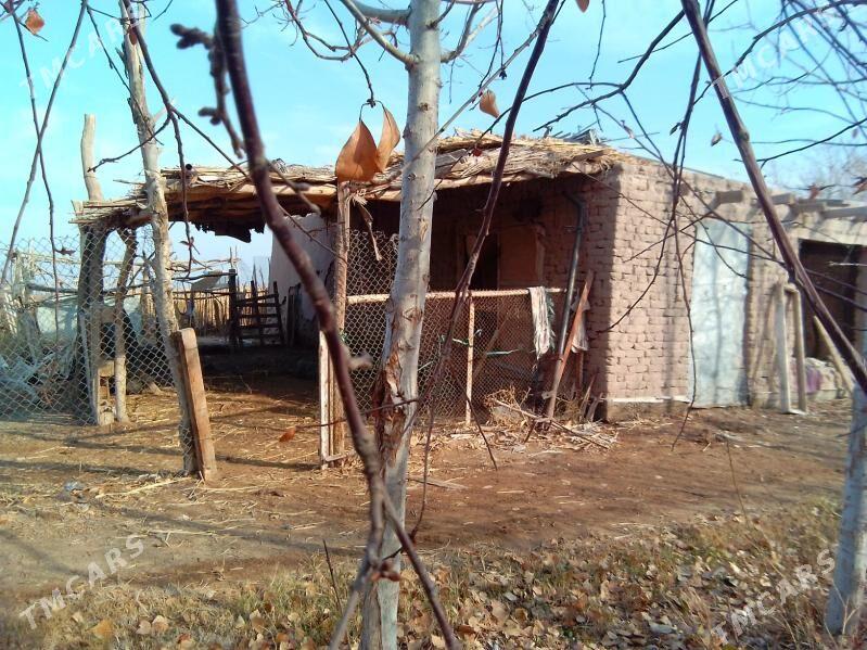 yer - Гороглы (Тагта) - img 5