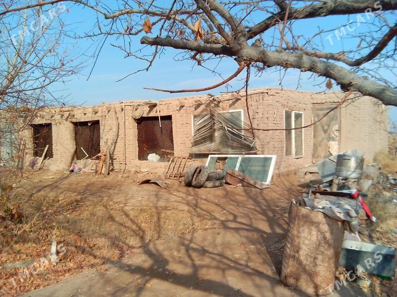 yer - Гороглы (Тагта) - img 4