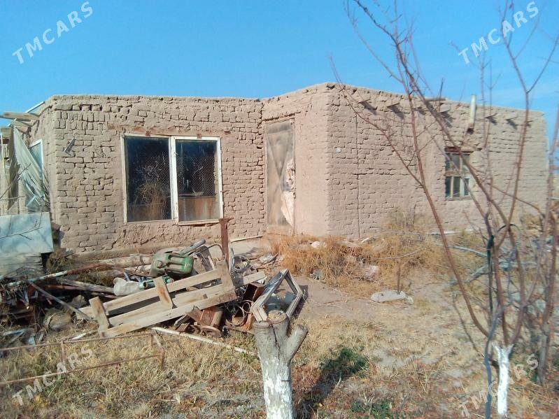 yer - Гороглы (Тагта) - img 7