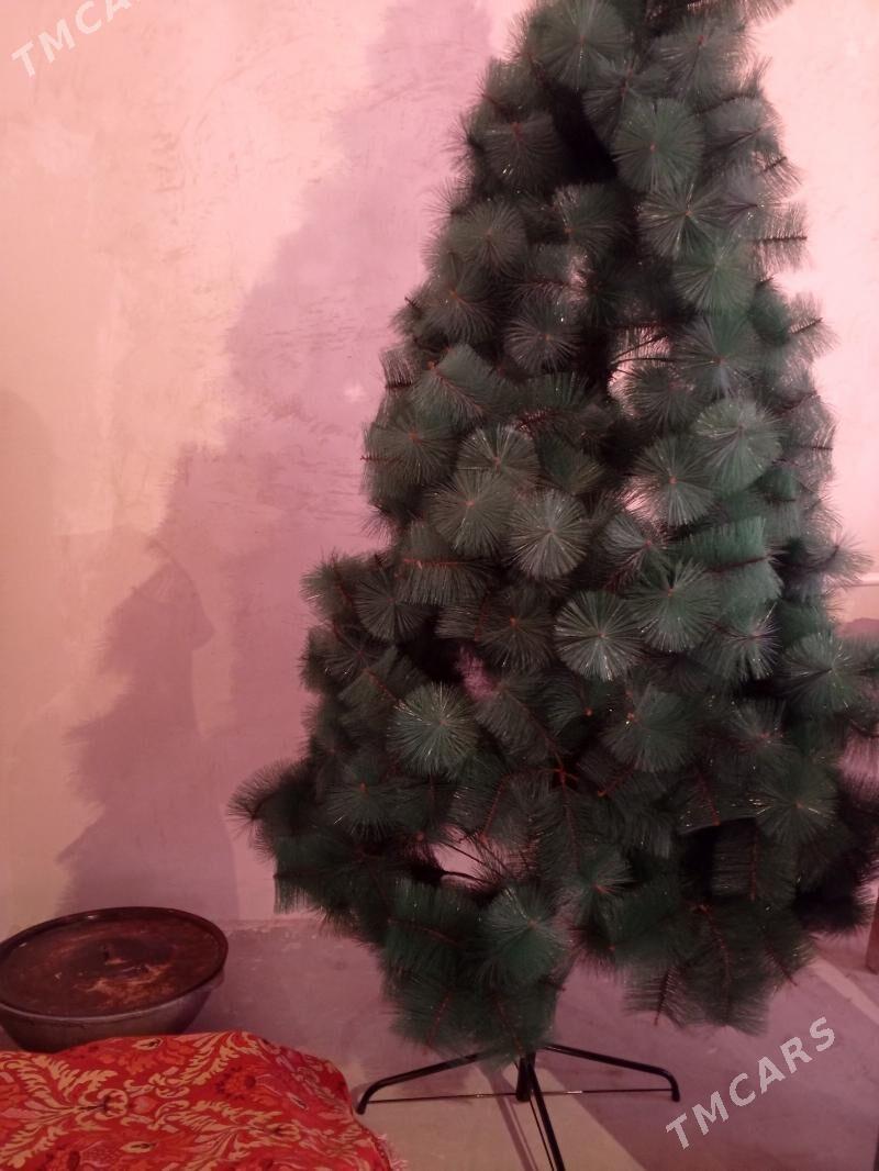 yolka - Balkanabat - img 2