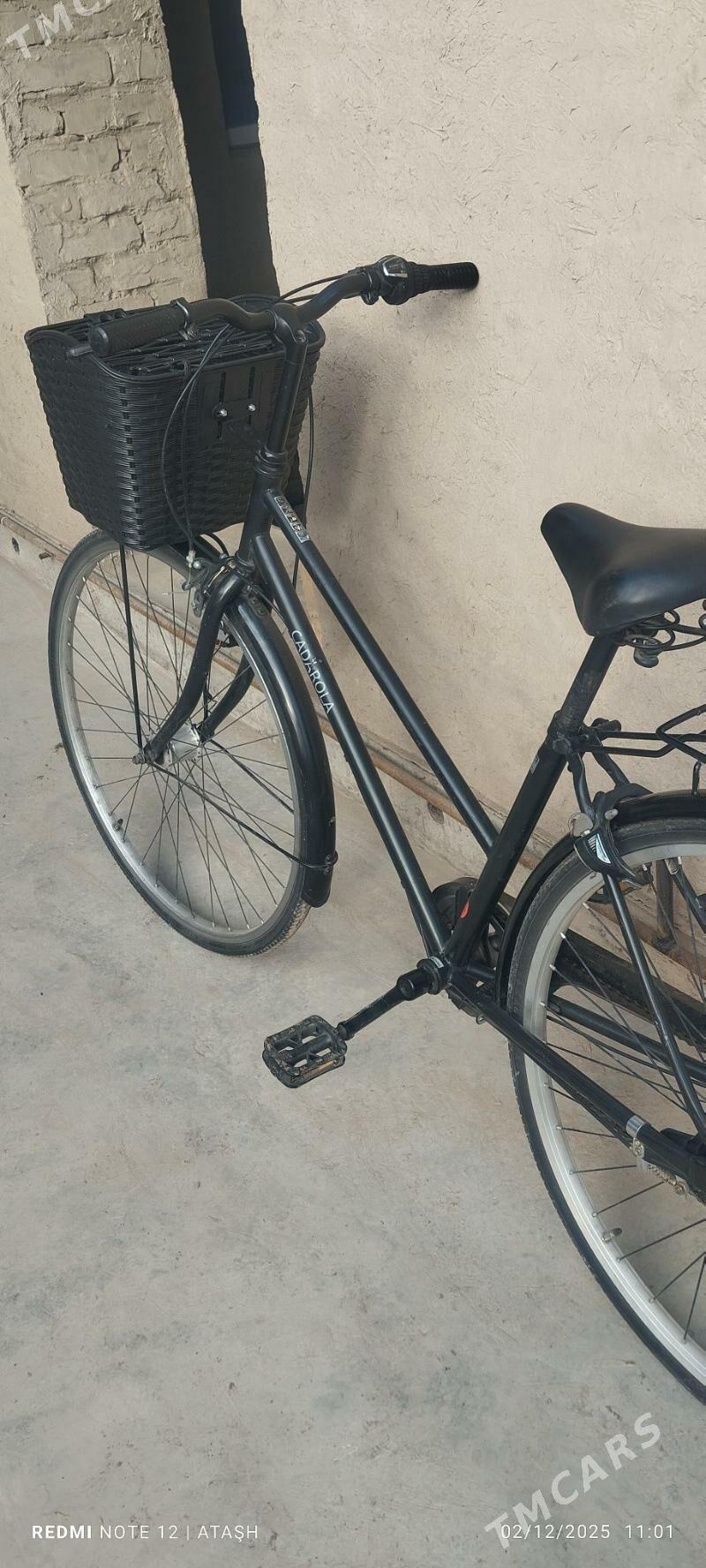 Ýapoşga tigir - Кёнеургенч - img 4