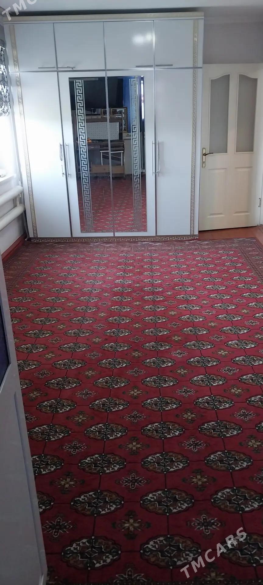 Gres jay - Mary - img 4