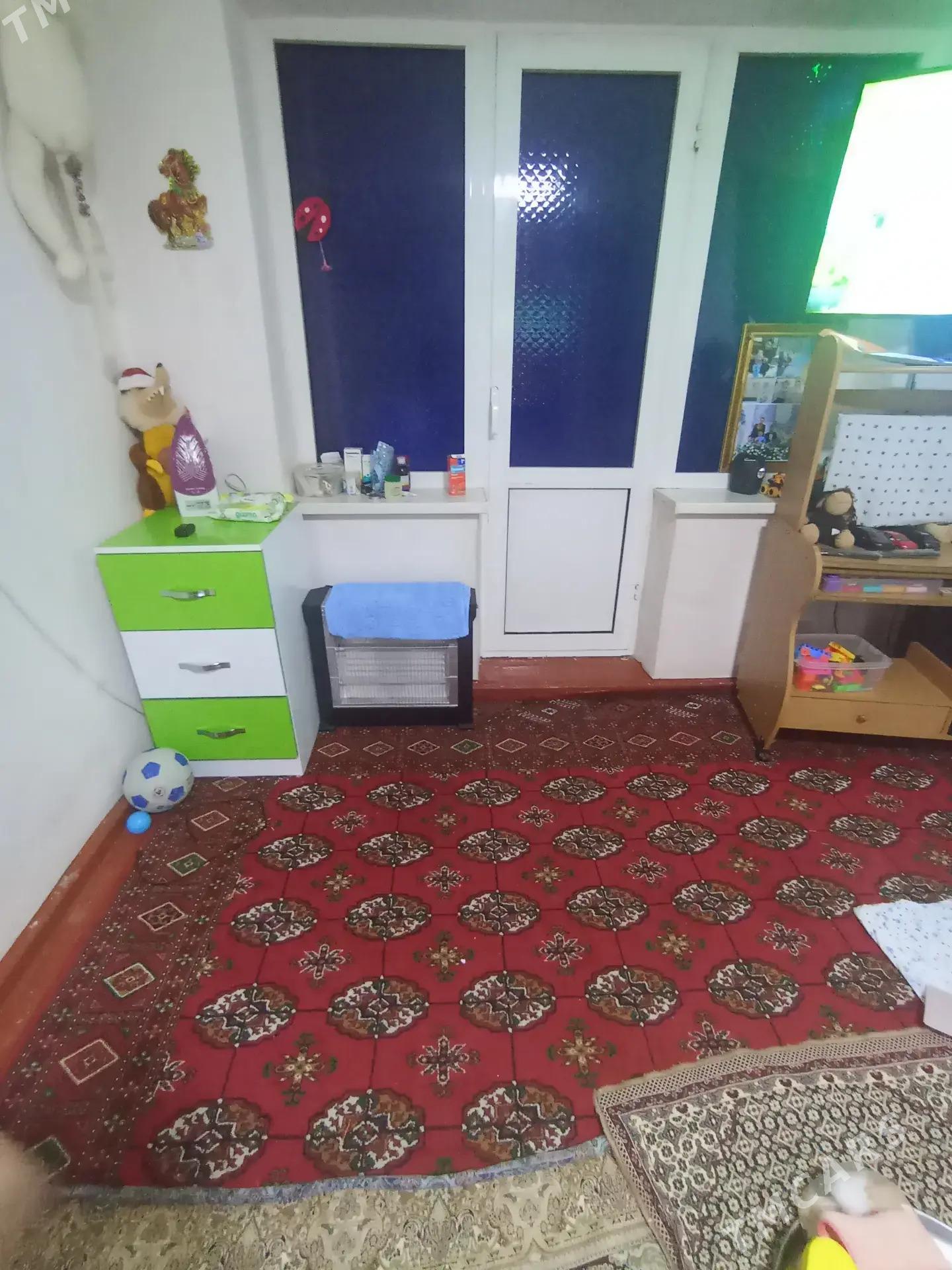 Gres jay - Mary - img 2