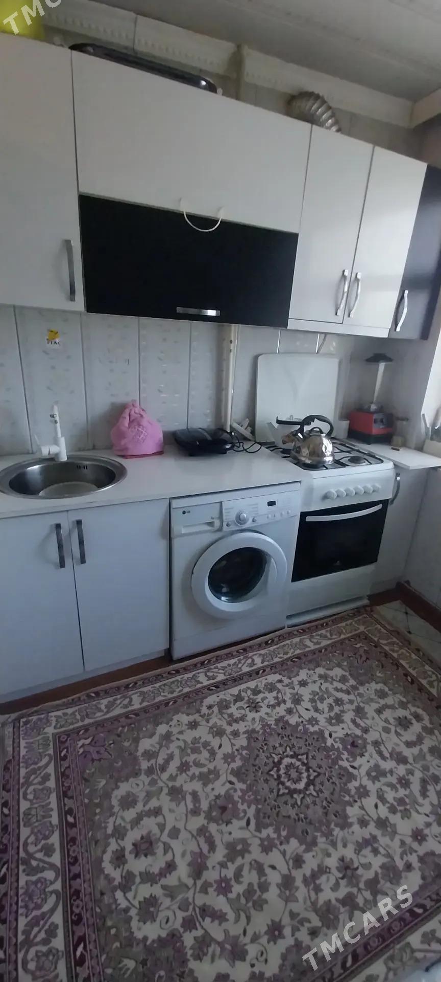 Gres jay - Mary - img 1