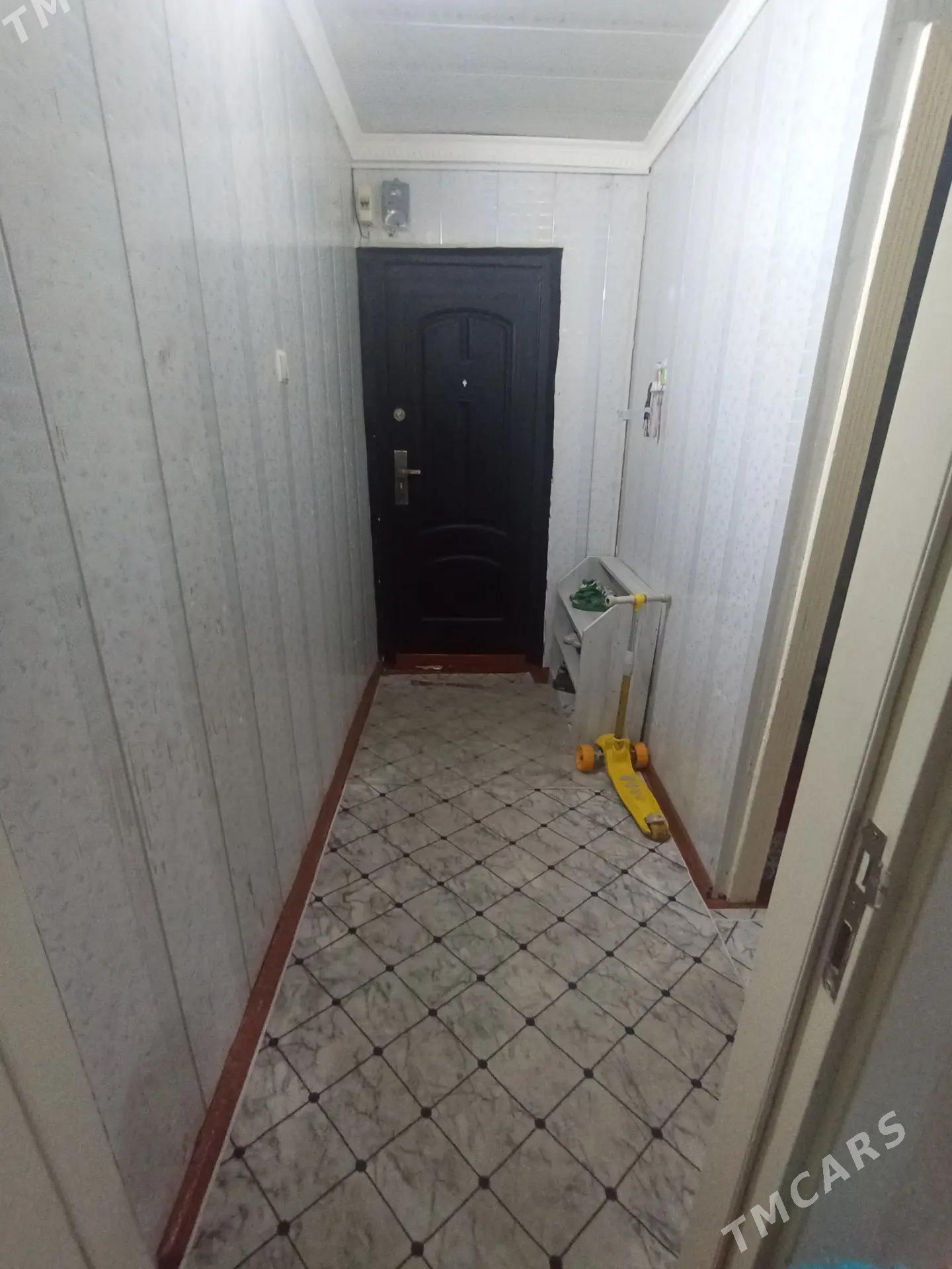 Gres jay - Mary - img 3