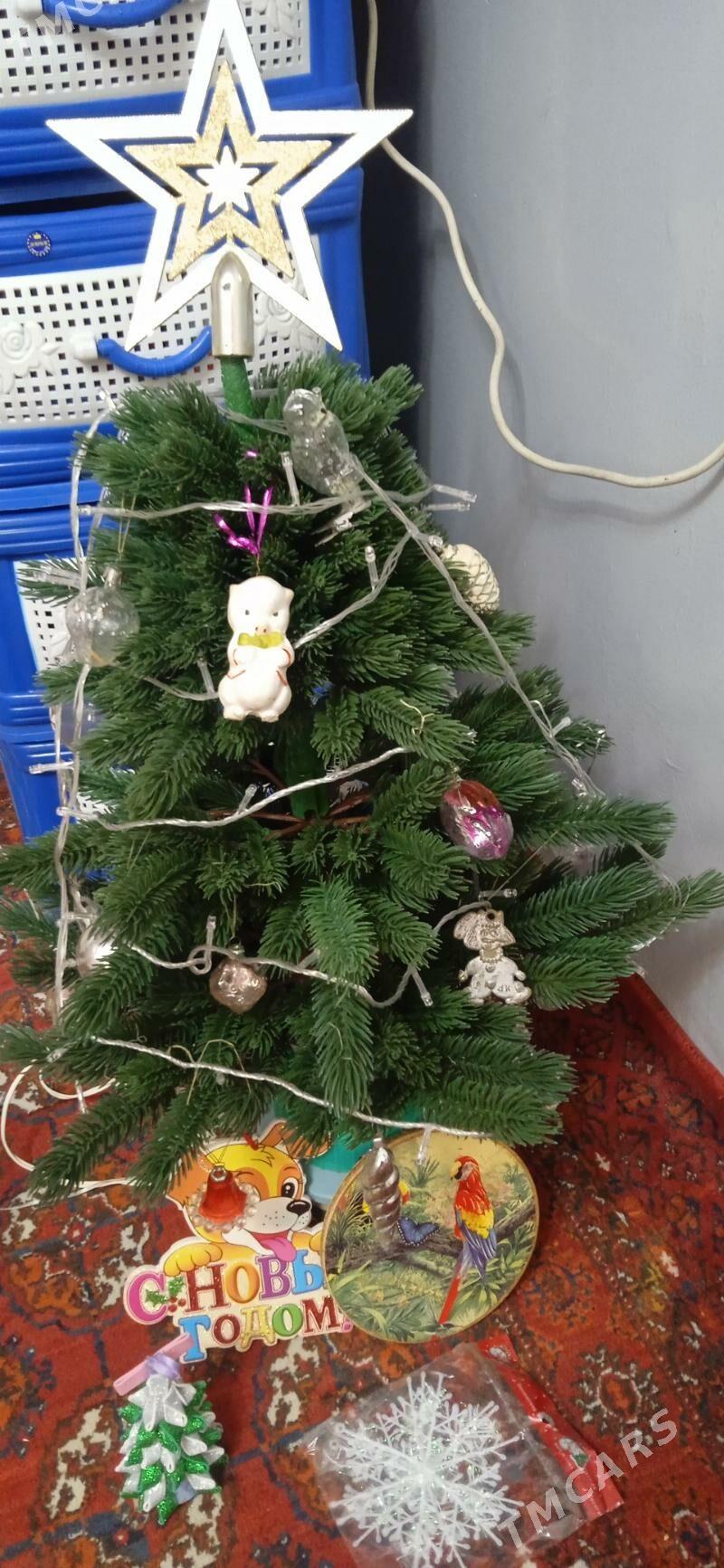 ЁЛКА ТОКЛЫ. АЙЛАНЯР. ОРСЫНКЫ - Mary - img 6