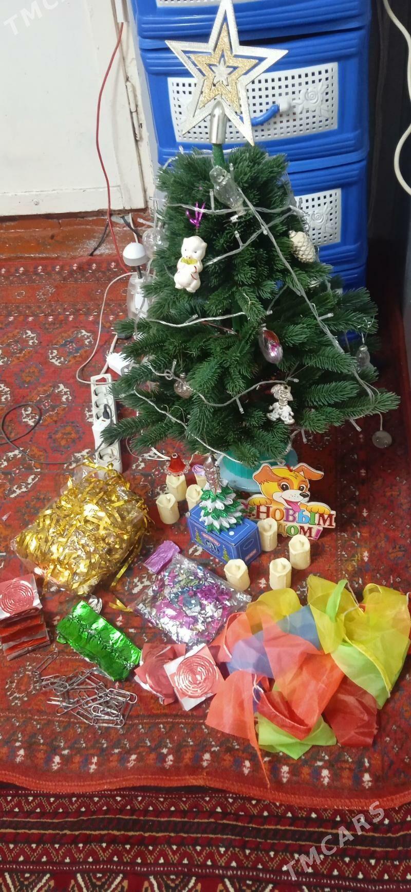 ЁЛКА ТОКЛЫ. АЙЛАНЯР. ОРСЫНКЫ - Mary - img 4