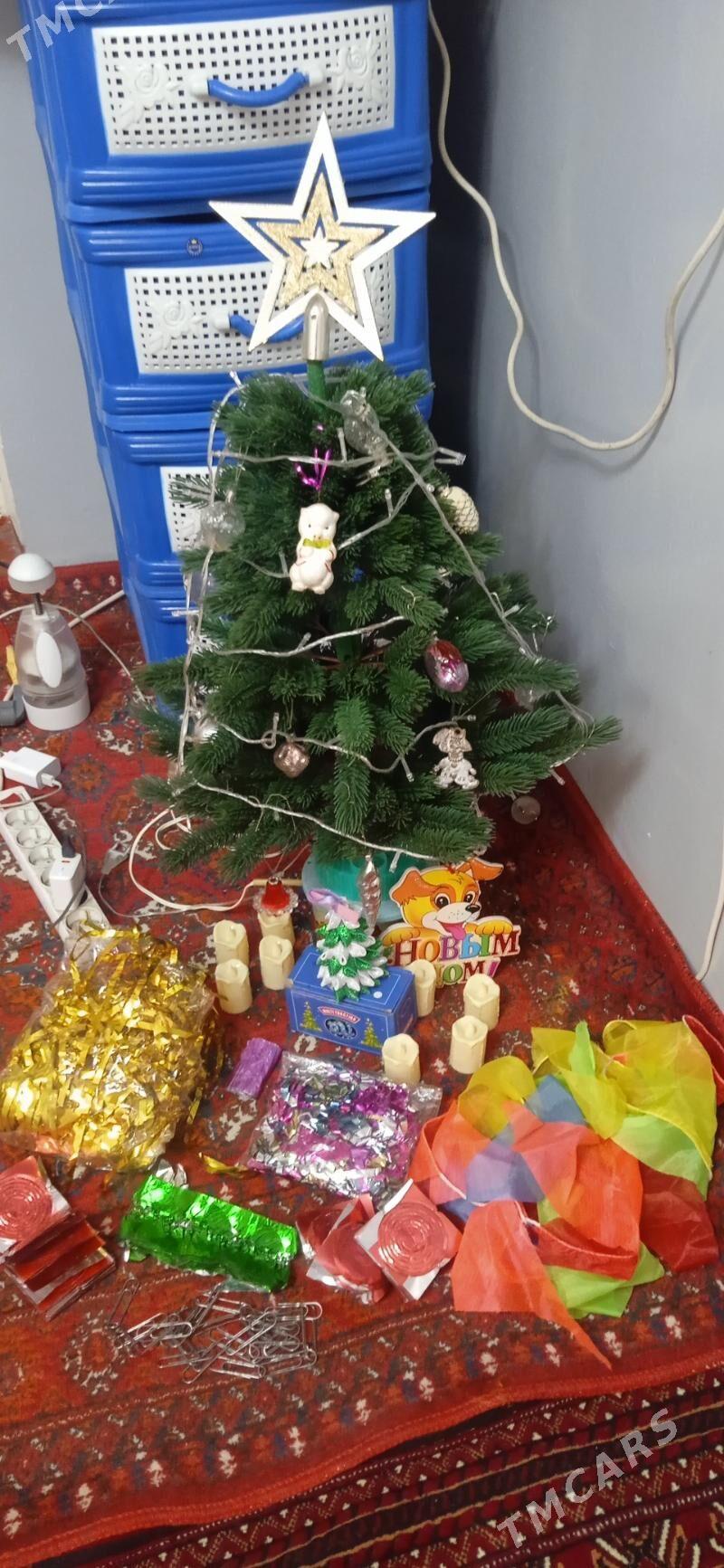 ЁЛКА ТОКЛЫ. АЙЛАНЯР. ОРСЫНКЫ - Mary - img 3