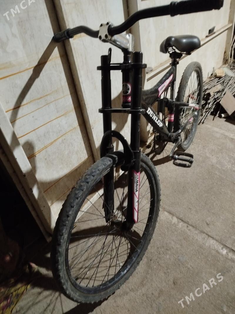 Tigir - Туркменабат - img 3