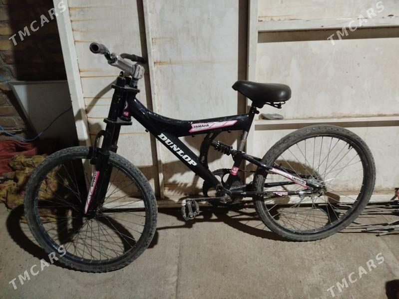 Tigir - Туркменабат - img 4