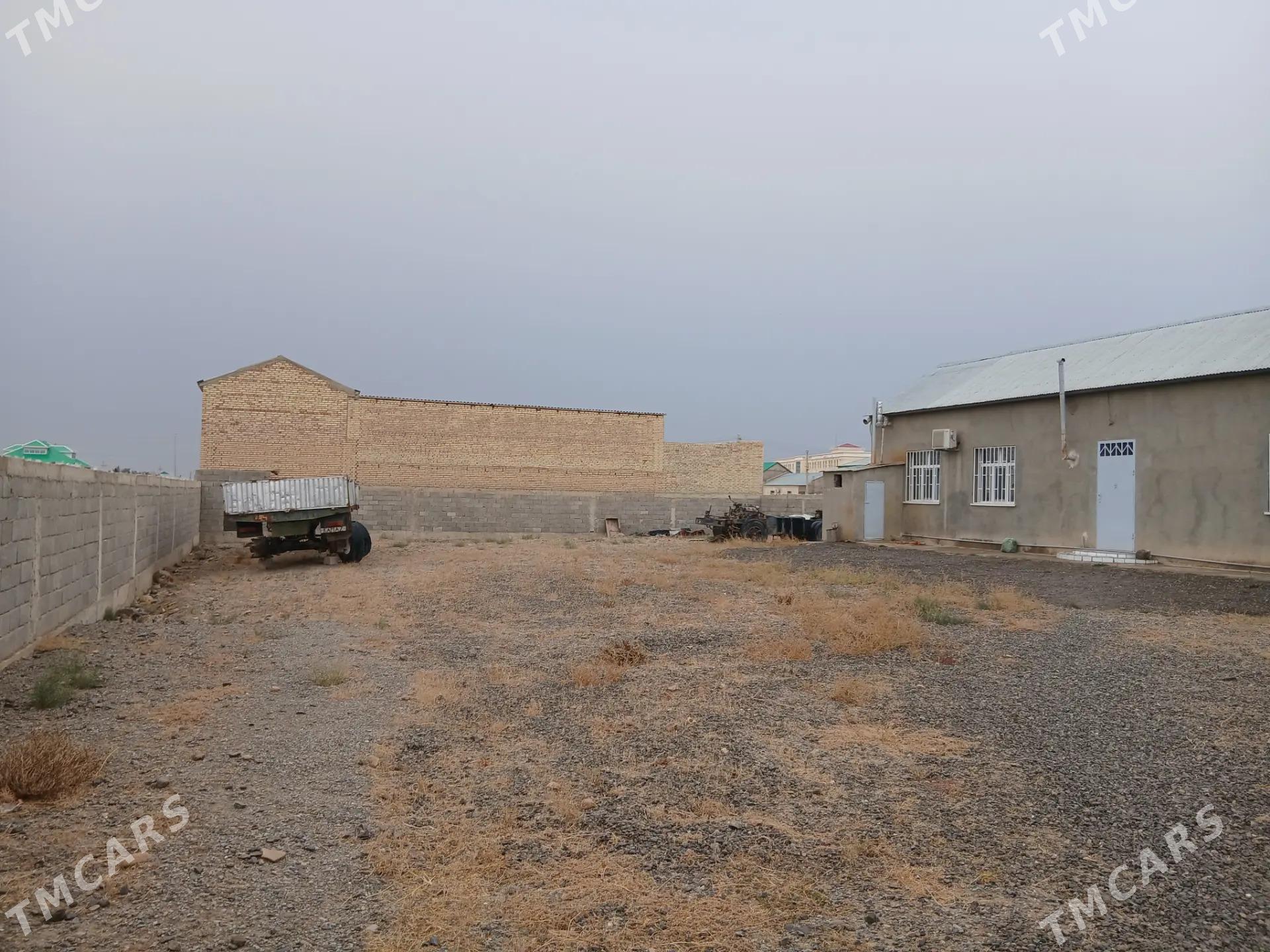 Satlyk jaÿ - Gyzylarbat - img 4