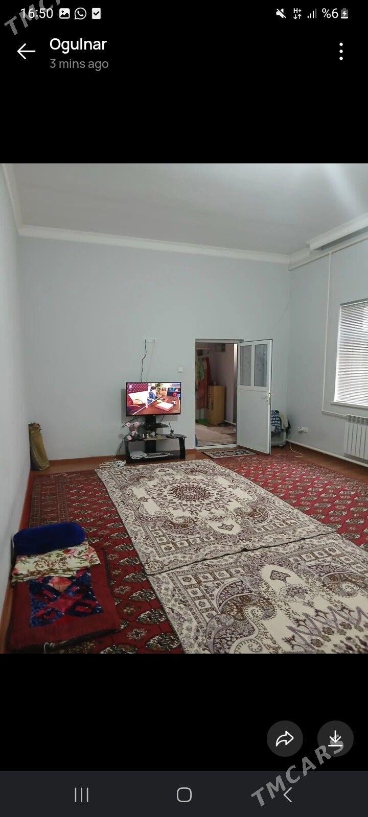 Satlyk jaÿ - Gyzylarbat - img 10