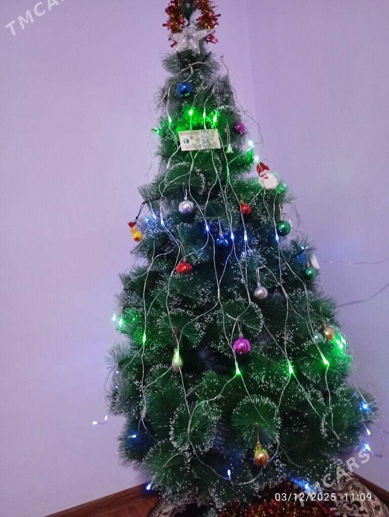 ÿolka - Gumdag - img 4