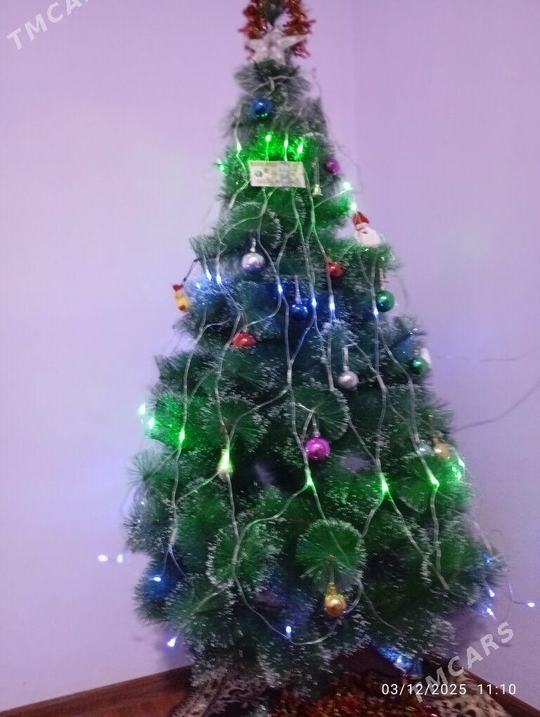 ÿolka - Gumdag - img 2