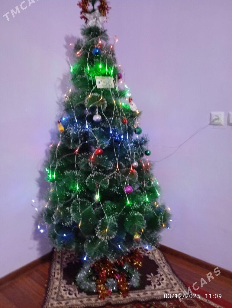 ÿolka - Gumdag - img 5