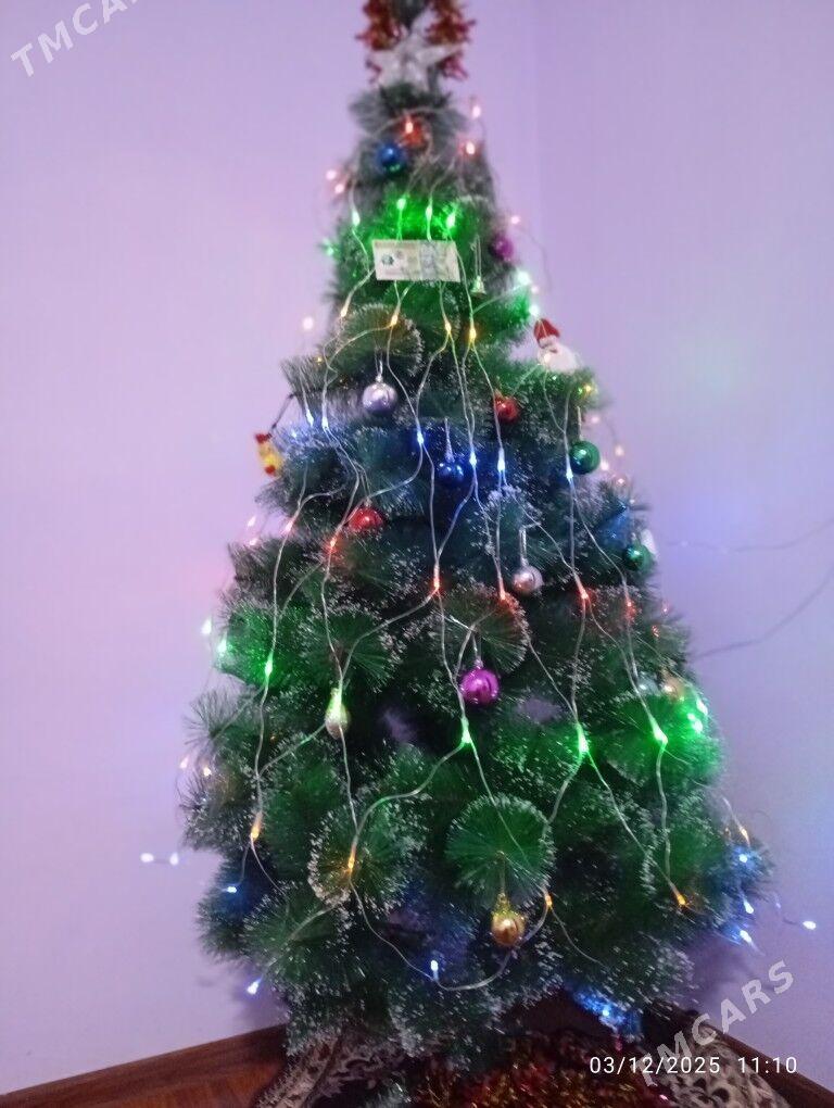 ÿolka - Gumdag - img 3