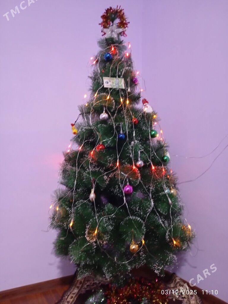 ÿolka - Gumdag - img 7