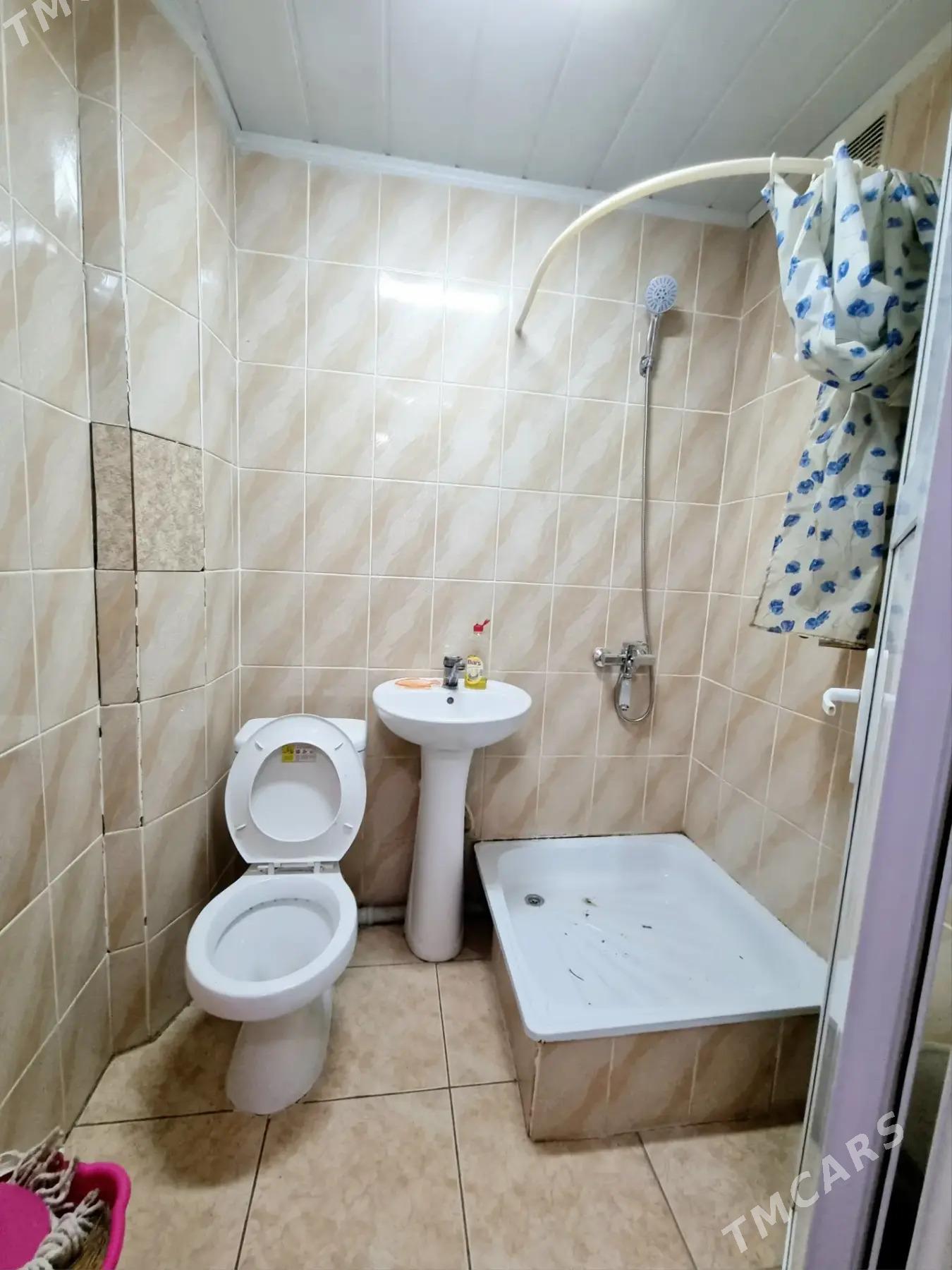 Satlyk jay - Mary - img 4