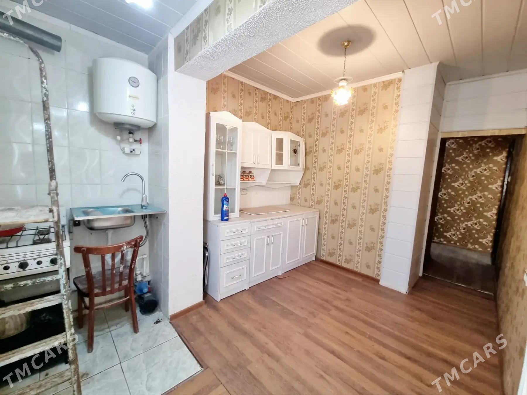 Satlyk jay - Mary - img 5