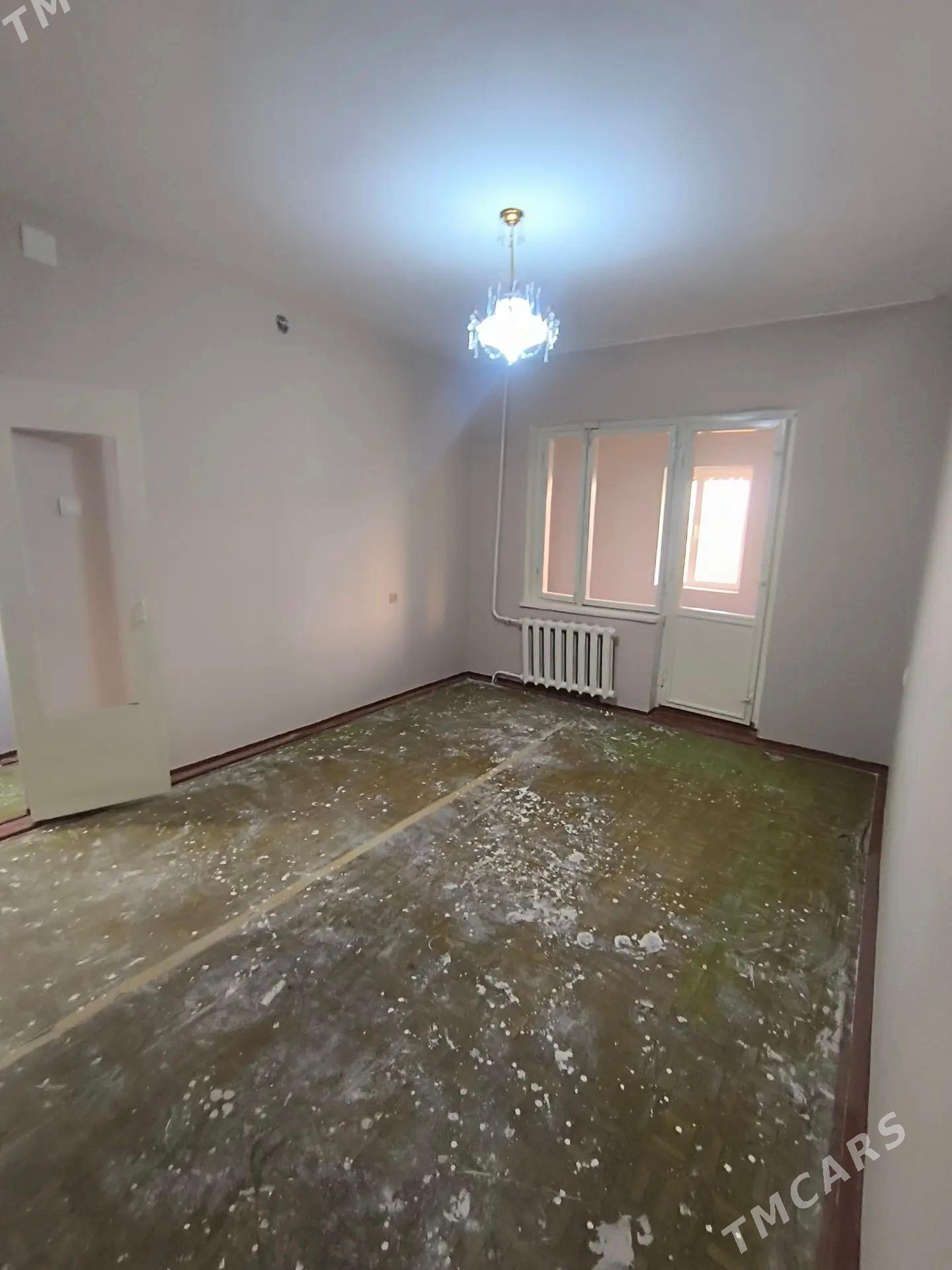 Satlyk jay - Mary - img 2