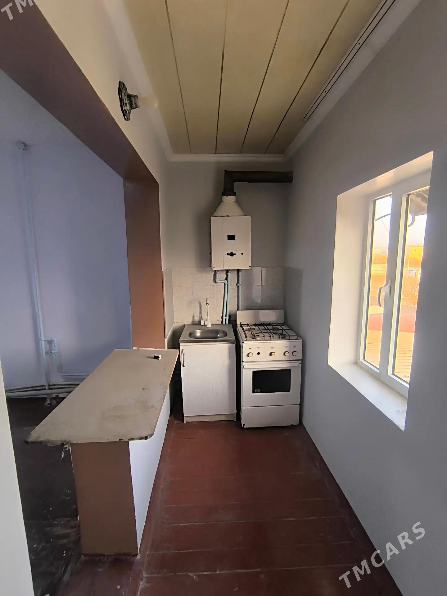 Satlyk jay - Mary - img 3