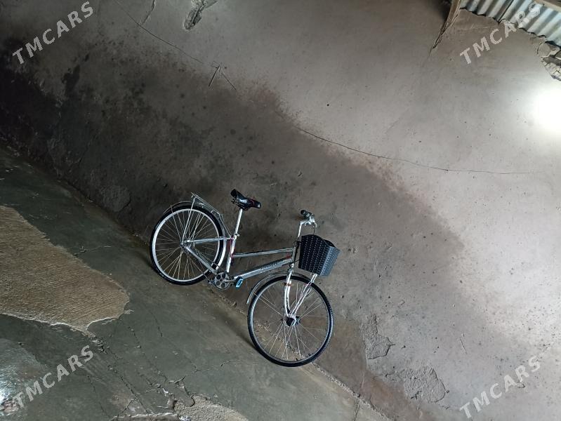 26 Welik - Туркменгала - img 4