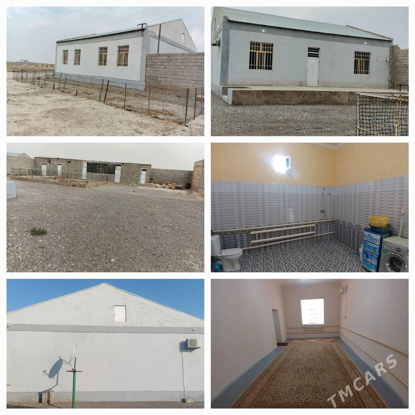 jay - Gyzylarbat - img 3