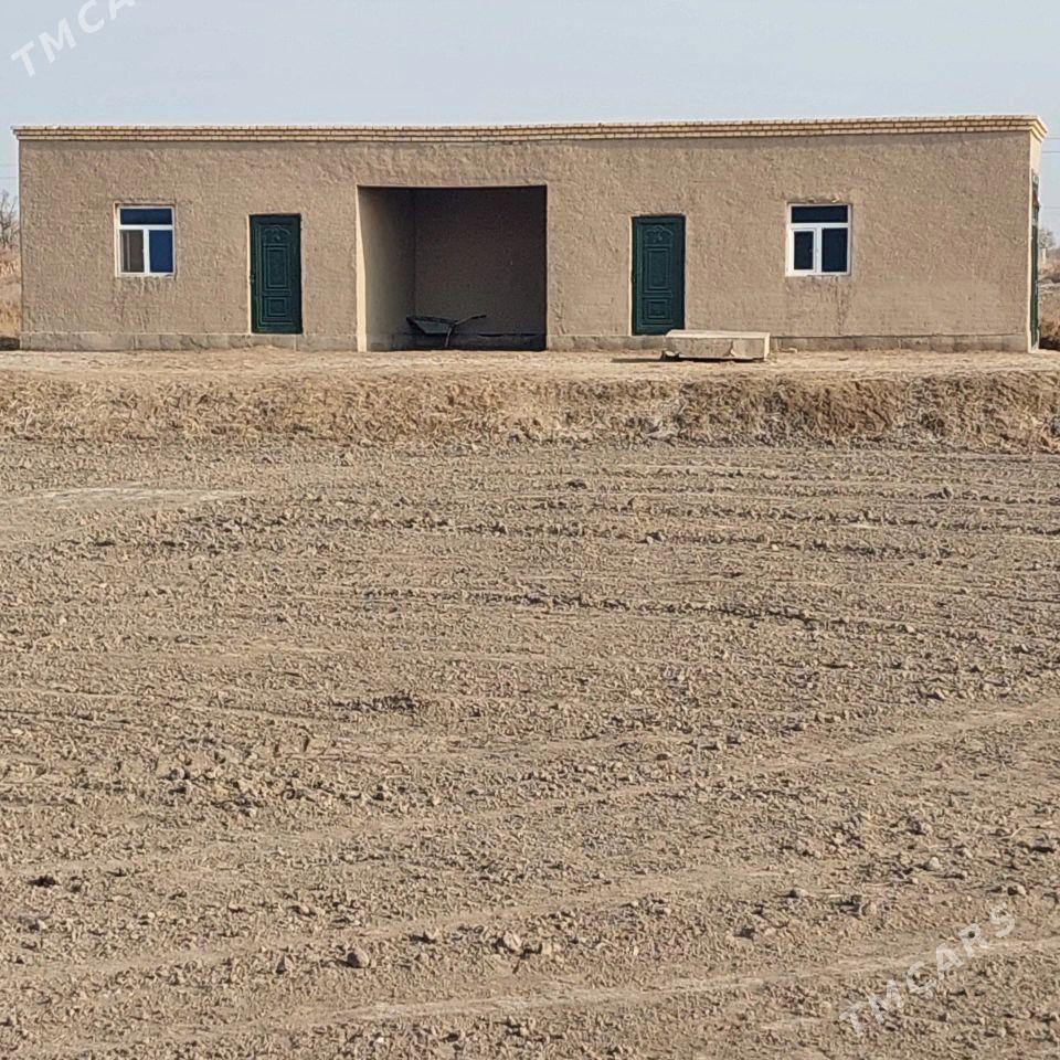 satlik jay - Кёнеургенч - img 9