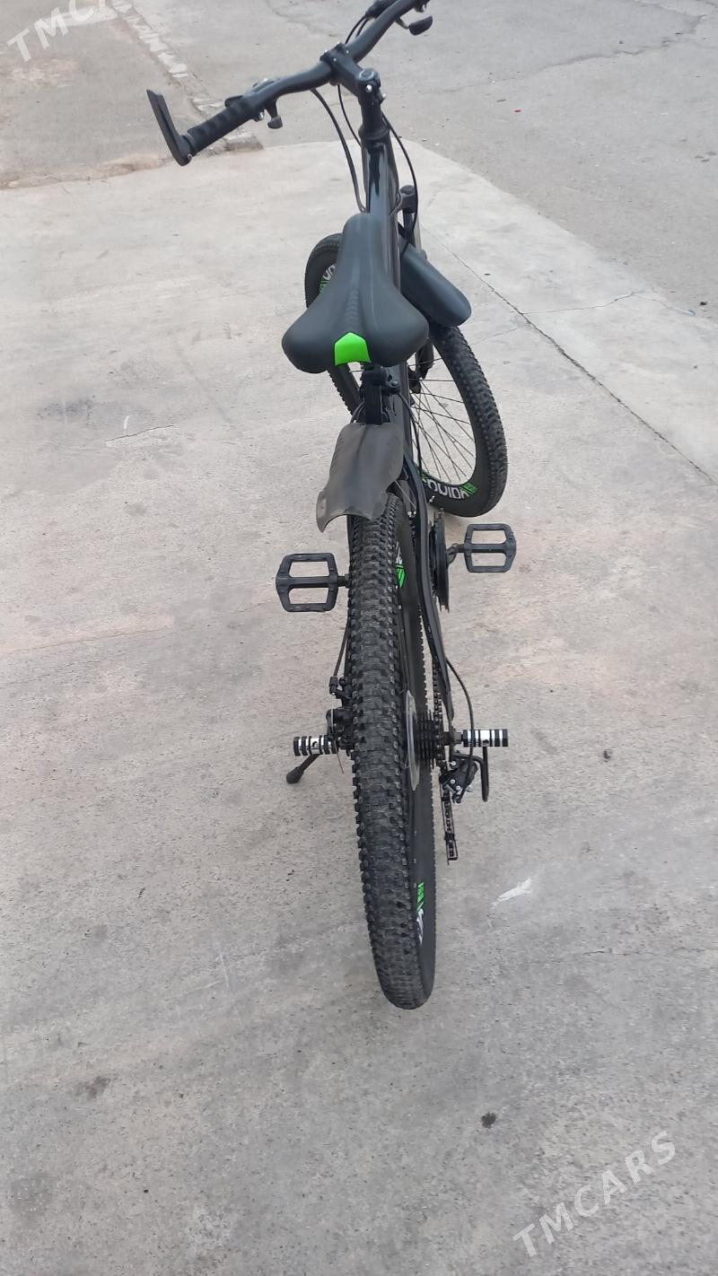 tigir - Gypjak - img 3