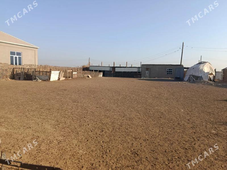 Mellek yer - Мары - img 1