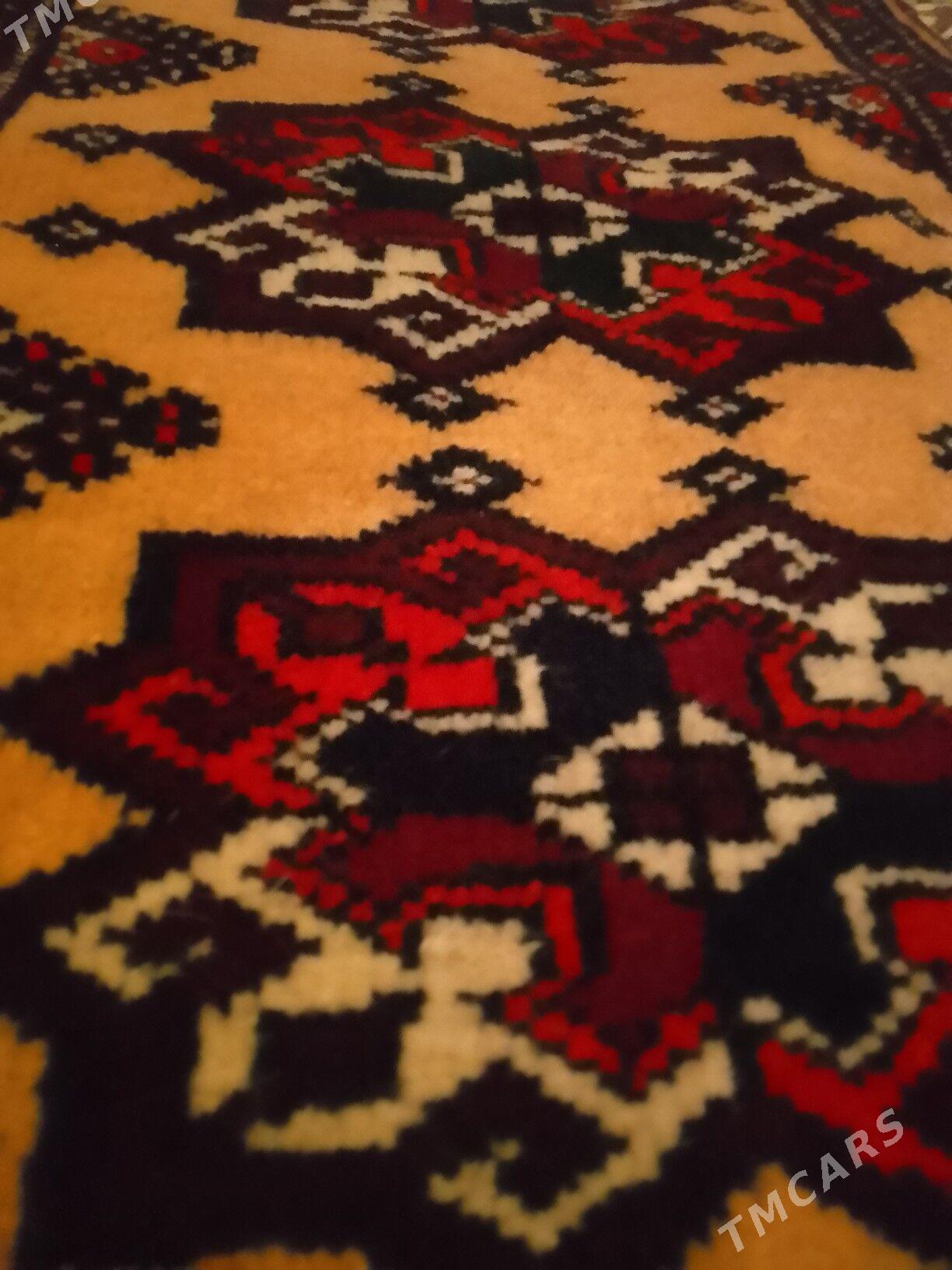 Gapylyk - Esenguly - img 2