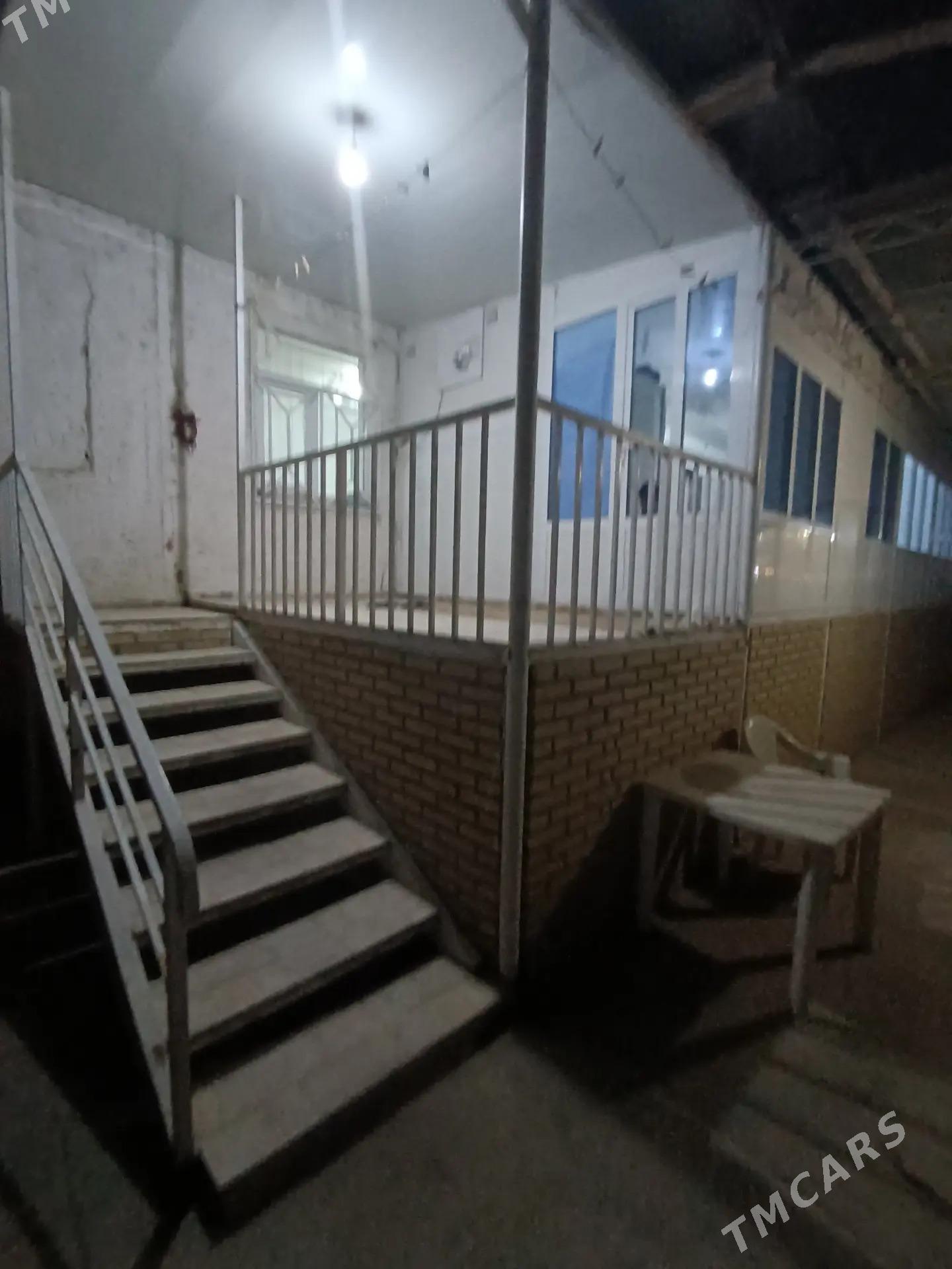 satlyk jaylar - Mary - img 10