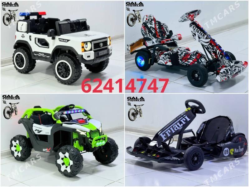 TIGIR MASYN MATOR KARSOK PARTA - Gurtly - img 10