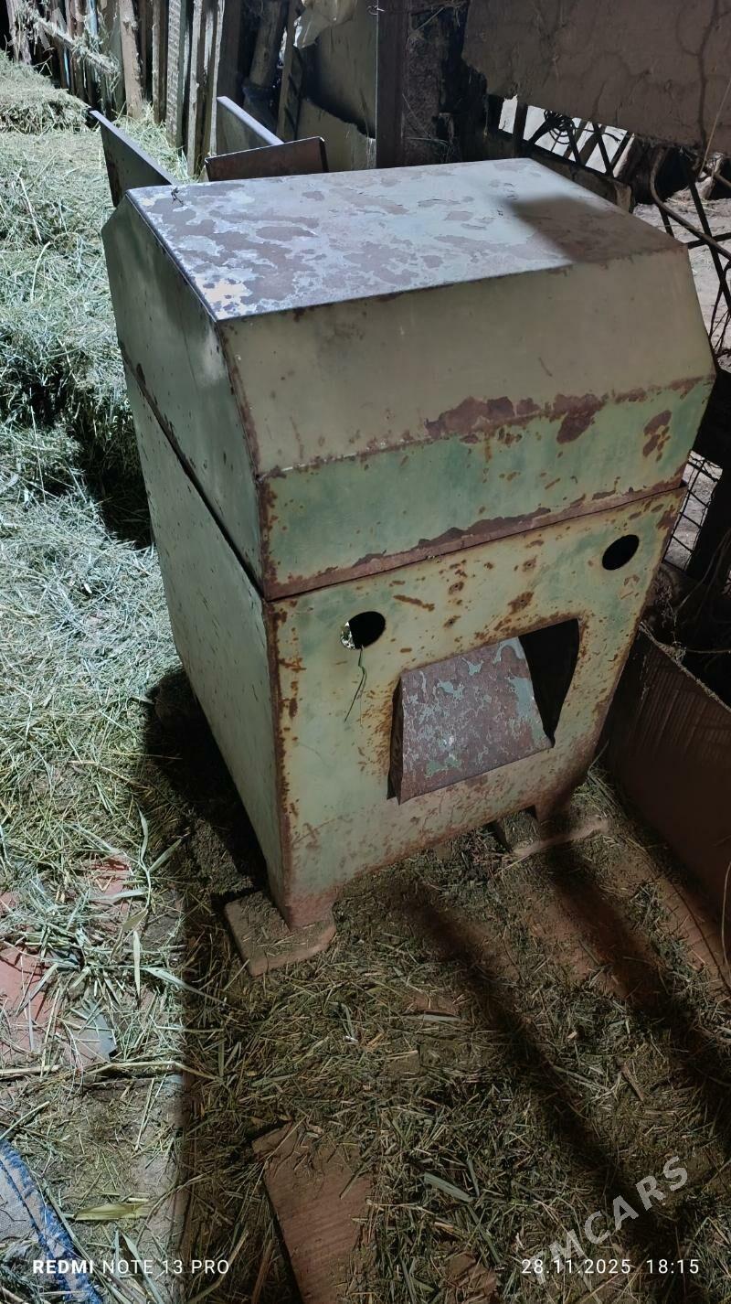 ot uweyan masyn - Mary - img 2