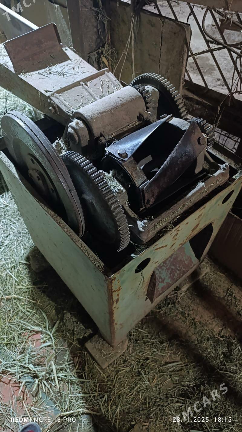 ot uweyan masyn - Mary - img 3