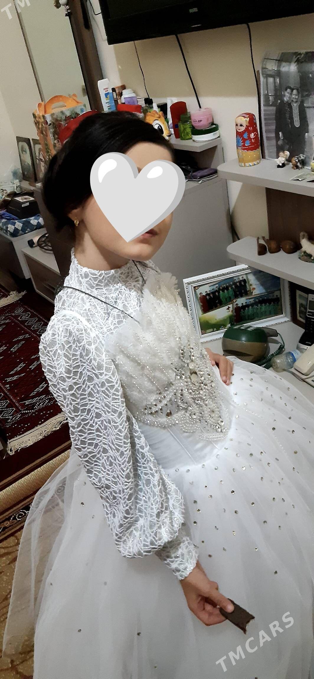 koŷnek - Bagyr - img 2