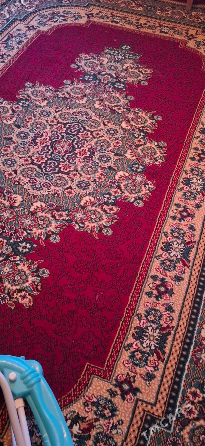 Haly - Parahat 4 - img 3