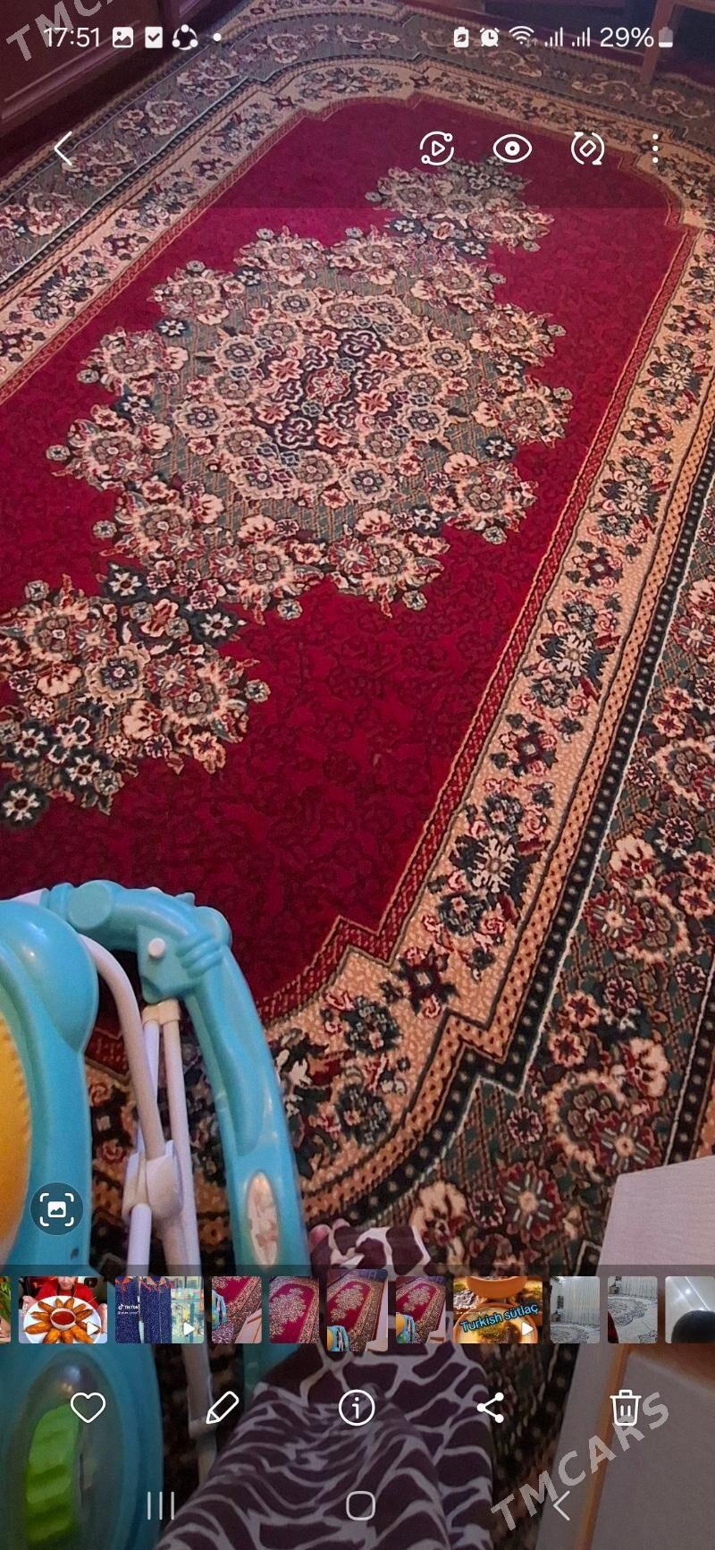 Haly - Parahat 4 - img 2