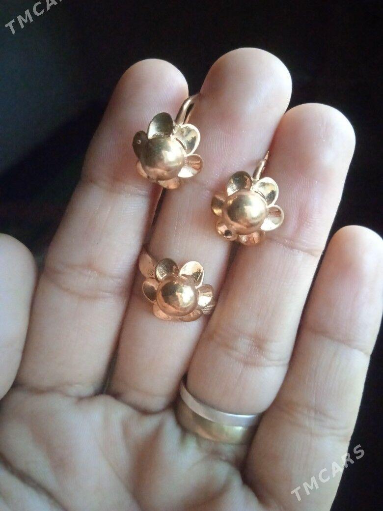 taskent yuwulyan - Губадаг - img 4