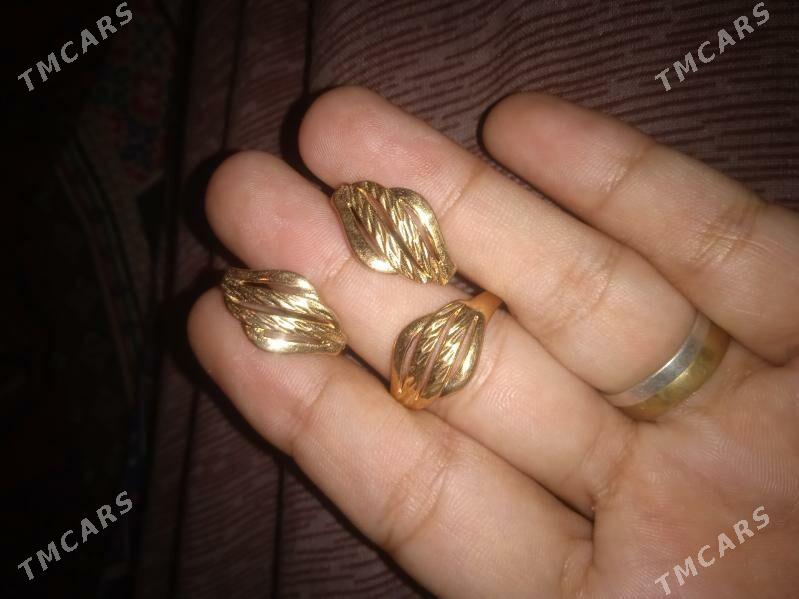 taskent yuwulyan - Губадаг - img 8