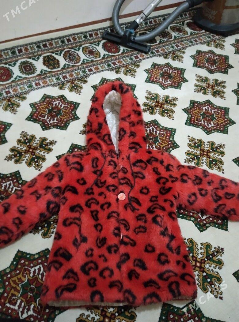 şuba - Дашогуз - img 3