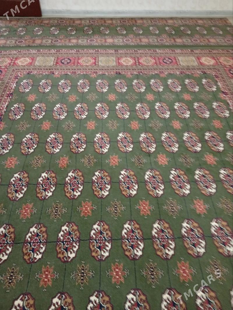 Haly - Balkanabat - img 2