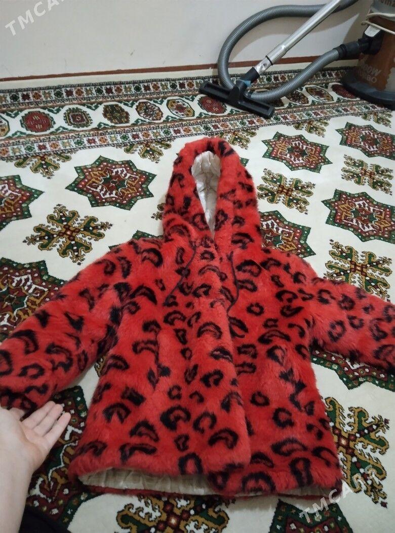 şuba - Дашогуз - img 2