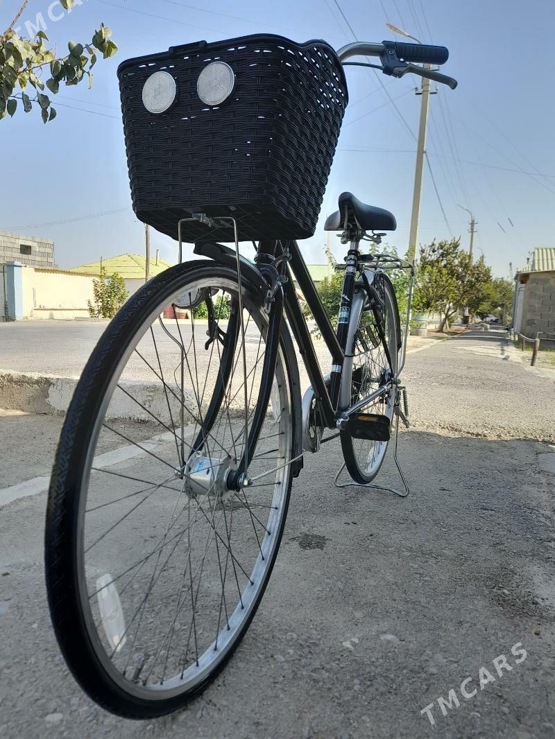 tigir - Büzmeýin - img 4