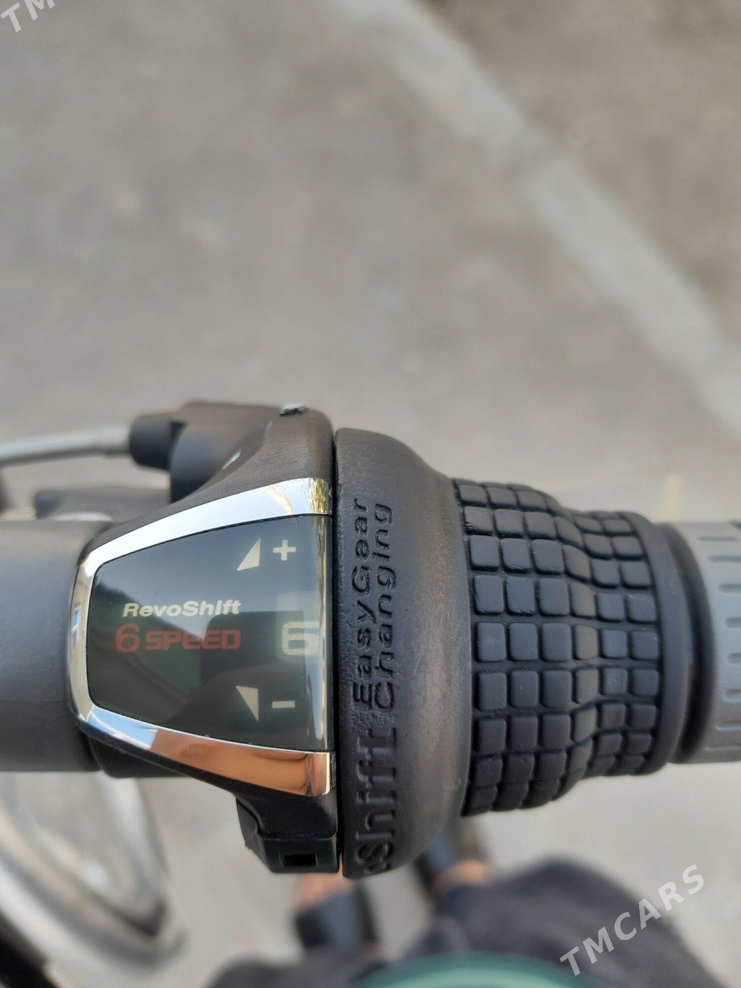 tigir - Büzmeýin - img 3